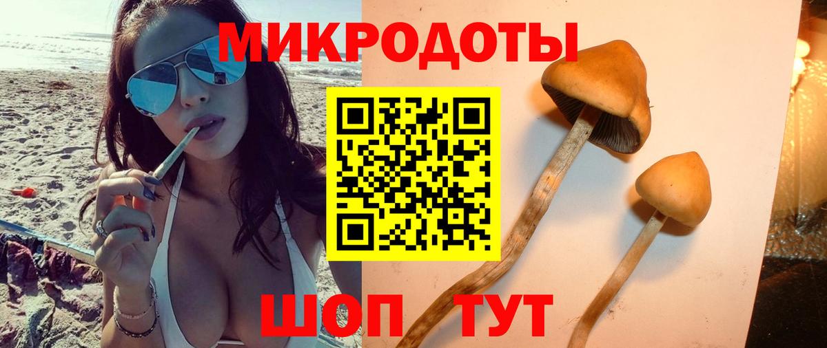 Галлюциногенные грибы мухоморы  Вход с VPN  Нерюнгри 
